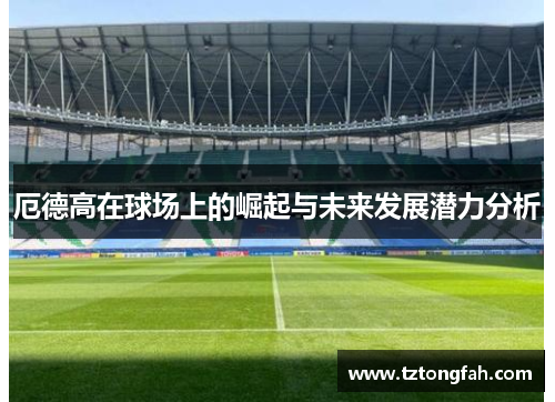 厄德高在球场上的崛起与未来发展潜力分析