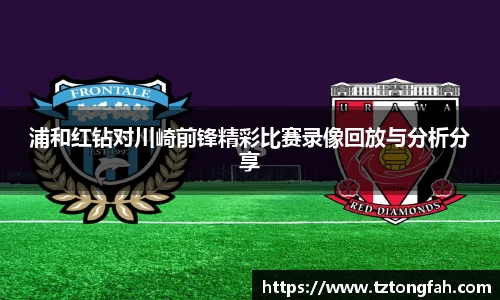 zoty中欧