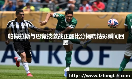 zoty中欧官网