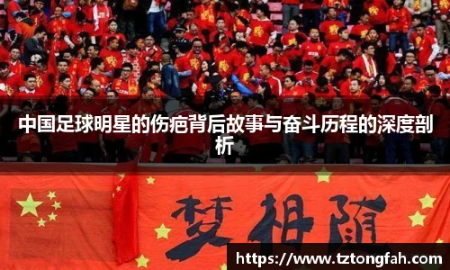 zoty中欧官方网站