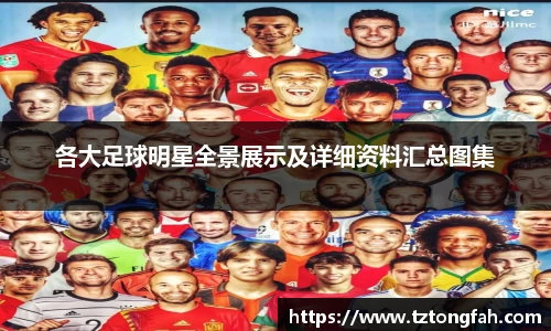 zoty中欧官方网站