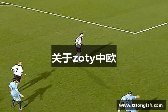 关于zoty中欧